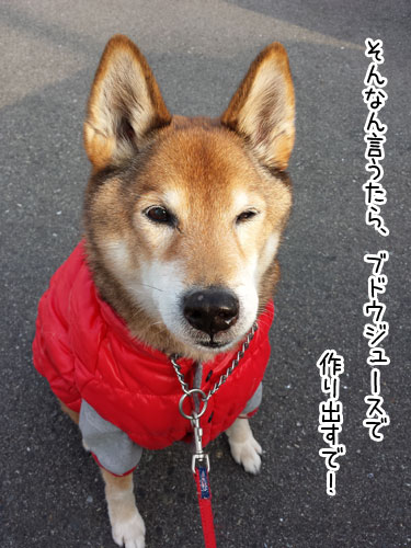 2015-1-29-5.jpg