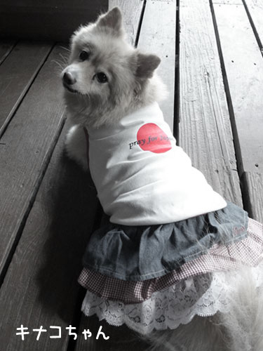 2011-10-23.jpg