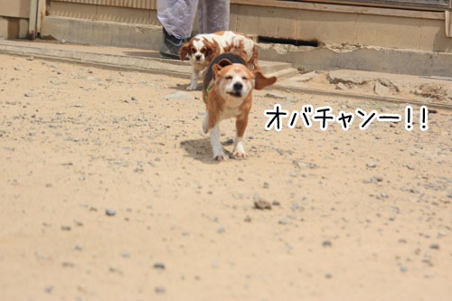 2011-5-31-7.jpg