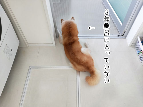 2019-8-17-1