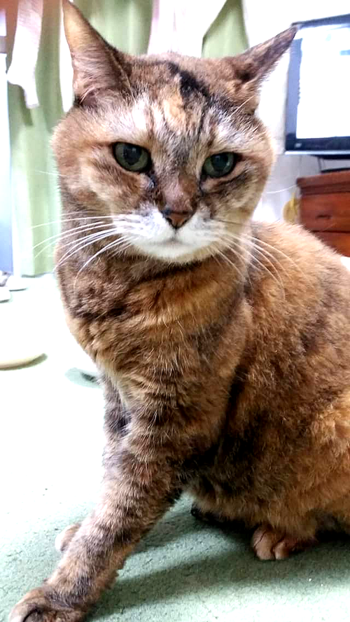 2018082502