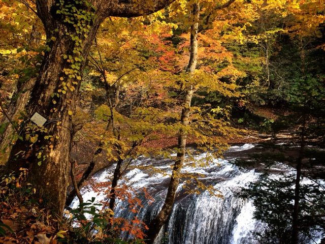 2016-10-16-19-54-58