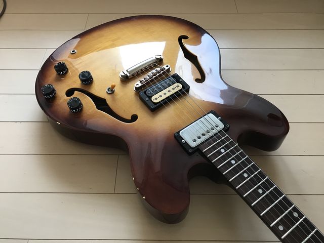 【国内正規総代理店アイテム】 New ☆謎のセミアコをMy Gear！ ジナパパ一家の何てことない日常 : ギター
