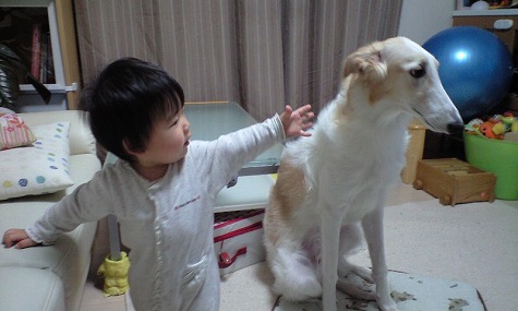 ©�Ҥȥ�����