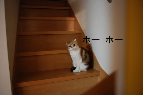 BlogPaint