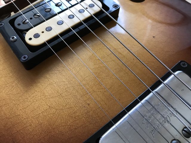 ☆謎のセミアコをMy New Gear！ : ジナパパ一家の何てことない日常