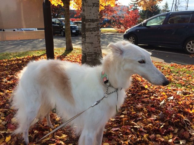 2017-10-28-14-08-05