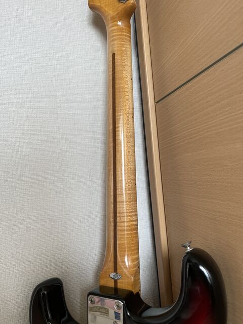 ☆Tokai Goldstar Soud TST-60（アビゲイル・イバラのピックアップ付き