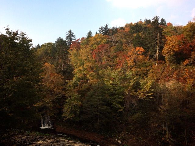 2016-10-16-19-54-50