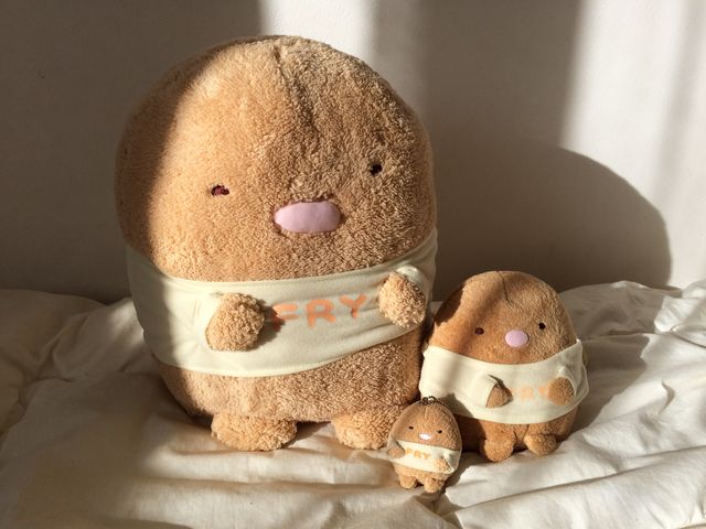 すみっコぐらし とんかつぬいぐるみ いろいろ ジナパパ一家の何てことない日常