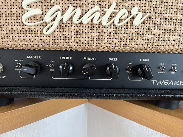 ☆小さな真空管アンプ！Egnater Tweaker 15 : ジナパパ一家の何てこと