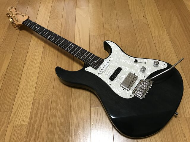 ☆1500円のパシフィカ、最終形態(?) : ジナパパ一家の何て ☆1500円のパシフィカ、最終形態(?) : ジナパパ一家の何て