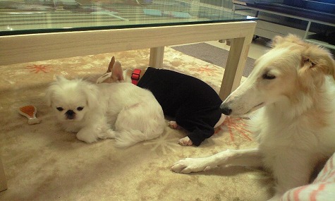 �ߤ�ʤǤ��䤹�ߡ�����