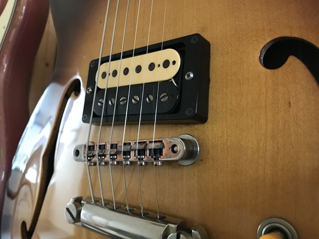 人気絶頂 New ☆謎のセミアコをMy Gear！ ジナパパ一家の何てことない日常 : ギター