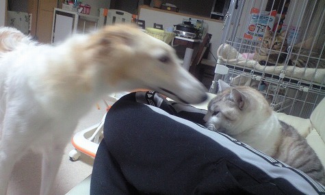 ぷんちゃんとご挨拶