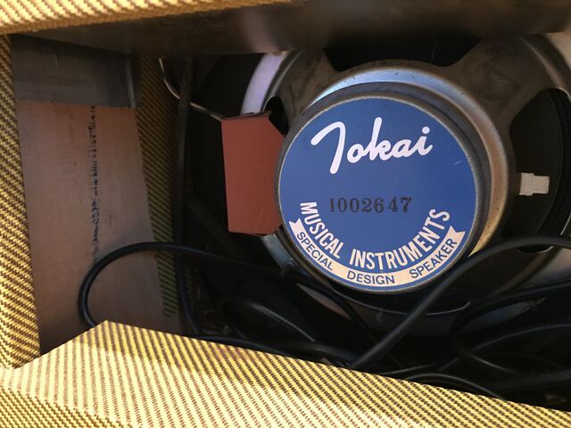 ☆Tokai流Tweed Champ? TA-35 OC : ジナパパ一家の何てことない日常 ☆Tokai流Tweed Champ? TA-35 OC : ジナパパ一家の何てことない日常