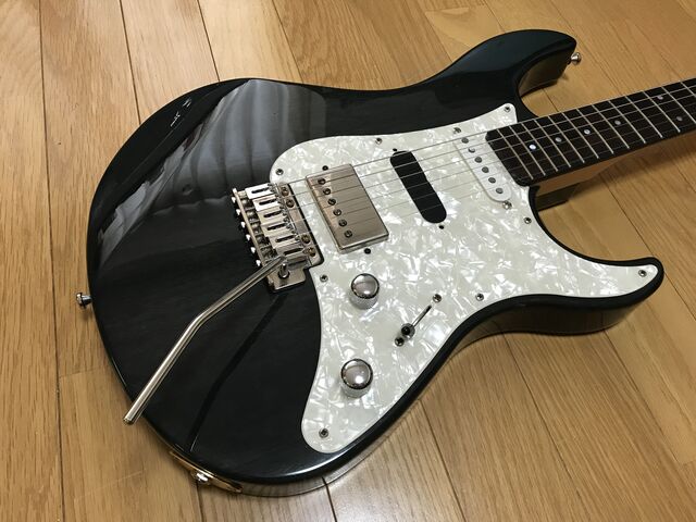 ☆1500円のパシフィカ、最終形態(?) : ジナパパ一家の何て ☆1500円のパシフィカ、最終形態(?) : ジナパパ一家の何て