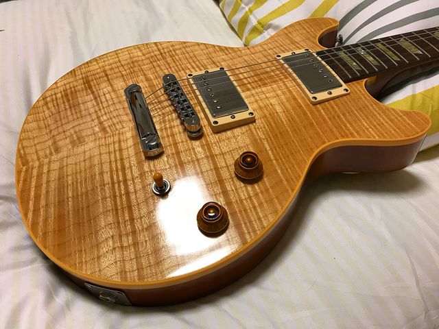 Gibson Les Paul Dc Pro ジナパパ一家の何てことない日常
