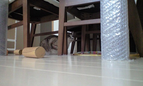 見守るぷんぷちゃん