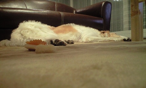 ���å���