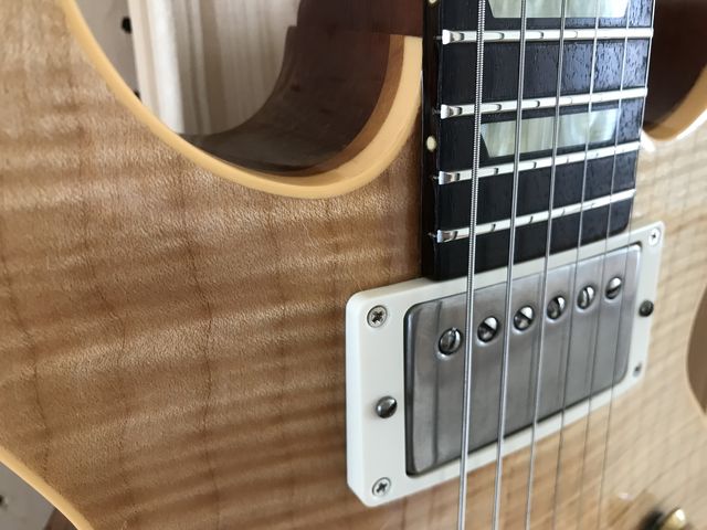 ☆Gibson Les Paul DC Proのモディファイ : ジナパパ一家の何て