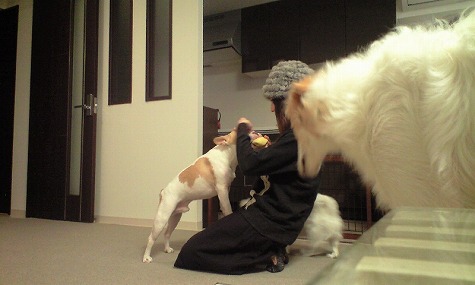 ���������