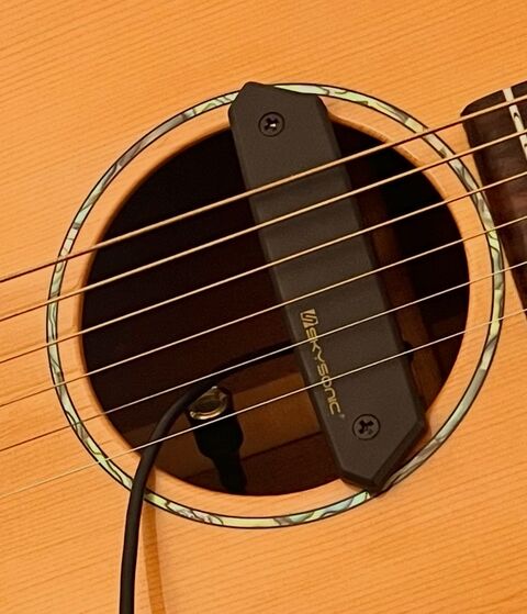 Amazon.co.jp: Beffin SKYSONIC T-902アコースティックギター