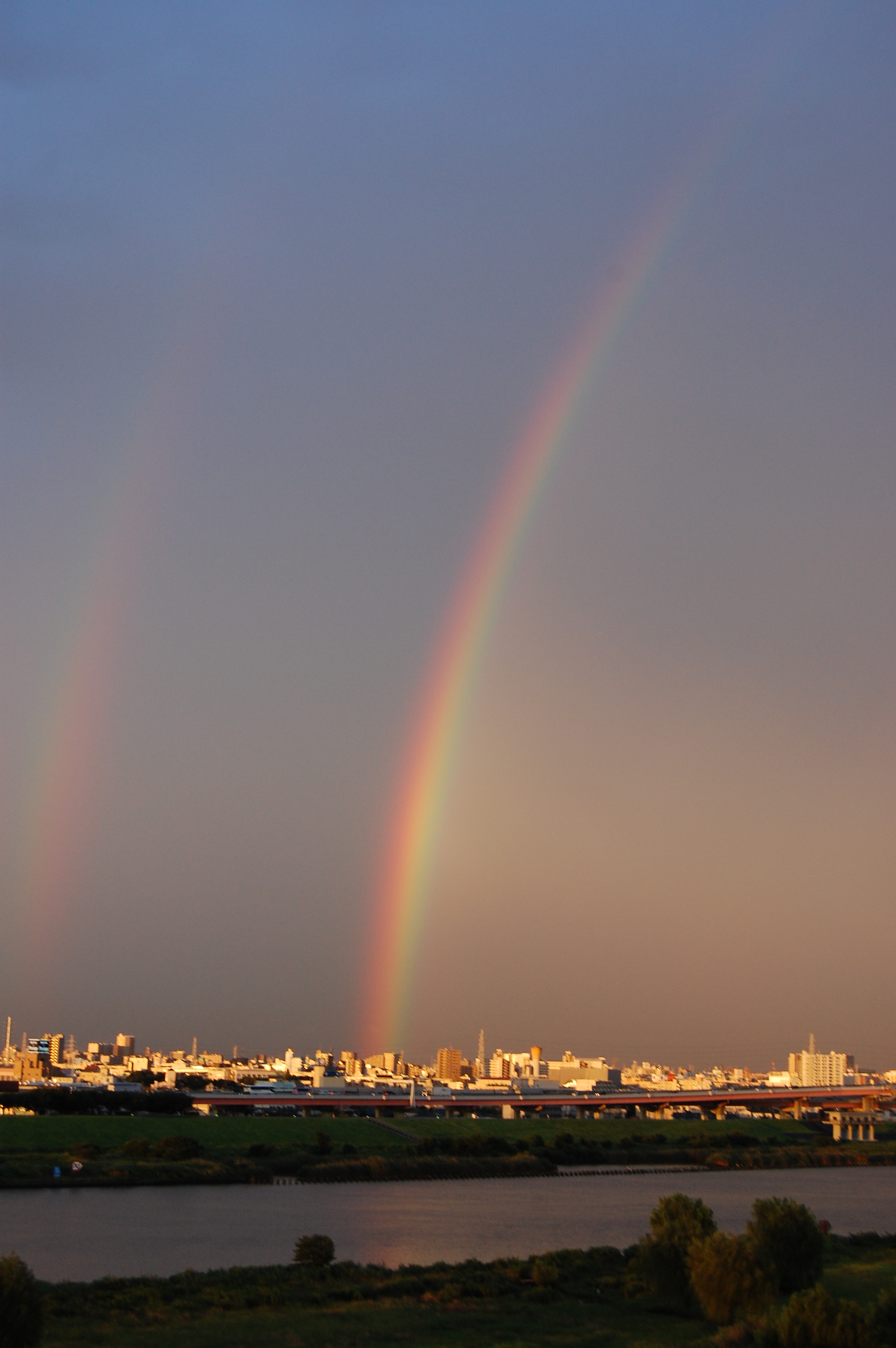 虹の橋 わたあめちゃんと、まゆげちゃん♪