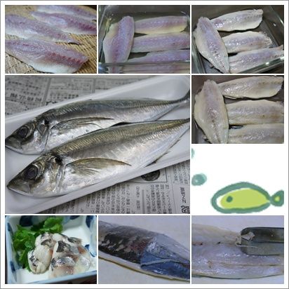アジの酢〆の作り方 と 簡単ちらし寿司 巻き寿司 ねことキッチンで暮らす アジの酢〆の作り方 と 簡単ちらし寿司 巻き寿司 ねことキッチンで暮らす