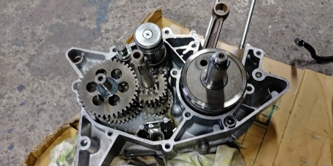 427d3acd-s.jpg