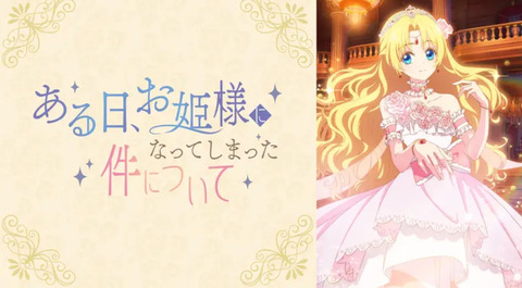 ある日、お姫様になってしまった件について 第13話