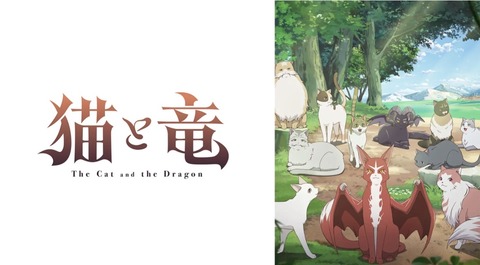 猫と竜 第11話