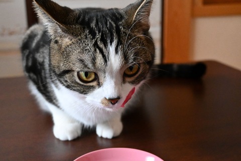 DSC_4978コピー