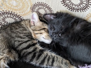 PXL_20240119_201654860.PORTRAIT.ORIGINAL