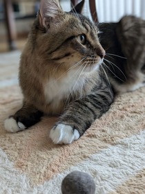 PXL_20241207_173617136.PORTRAIT