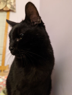 PXL_20220220_044552944