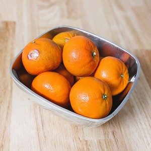 PXL_20240217_211423390.PORTRAIT