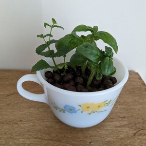 PXL_20230805_160321028