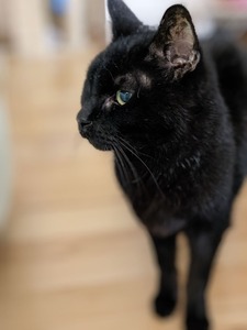 PXL_20221205_161518530.PORTRAIT_2