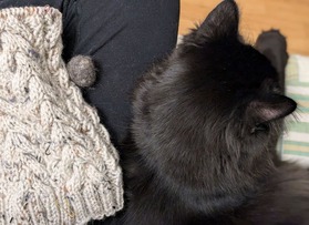 PXL_20241209_030724483.PORTRAIT