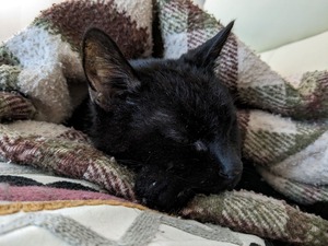 PXL_20230129_160300110