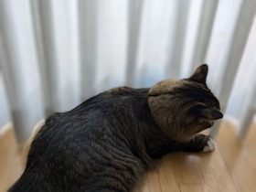 PXL_20241208_200802333.PORTRAIT~2