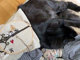 PXL_20241205_190454652