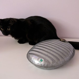 PXL_20240202_232605844.PORTRAIT