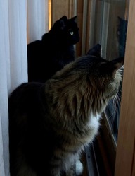 IMG_2025-08-15-201433