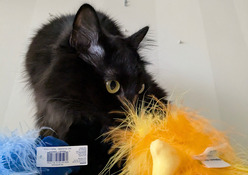 IMG_2025-08-17-195648