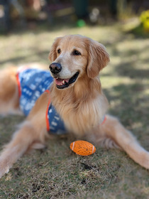 IMG_2023-12-01-190453