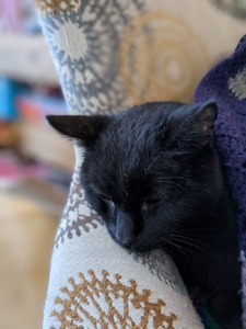 PXL_20221225_153544286_exported_1350_1671982585258_2