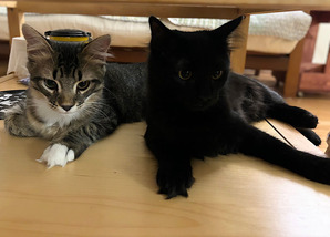 IMG_2024-01-17-155951