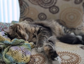 PXL_20241205_190337231.PORTRAIT